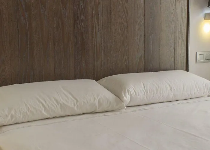 El Mosquito 巴约讷